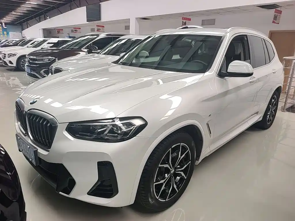 BMW X3 — миниатюра 2