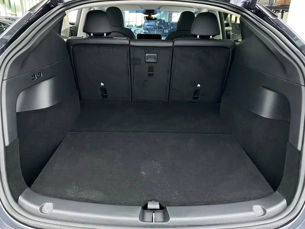 Tesla Model Y — миниатюра 27