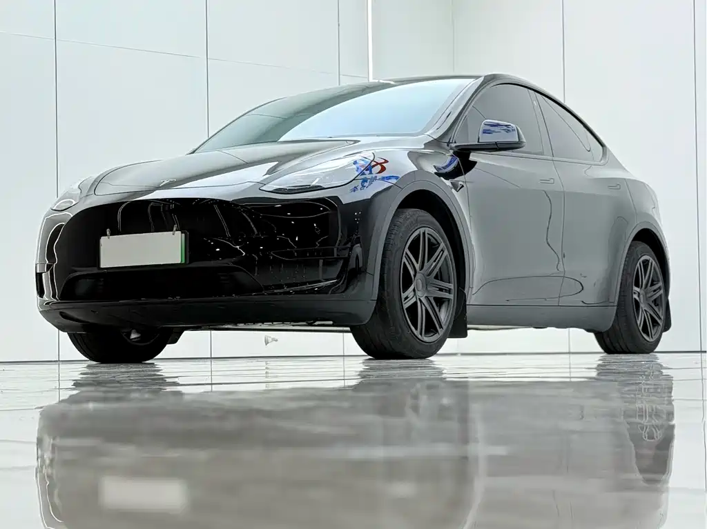 Tesla Model Y — миниатюра 2