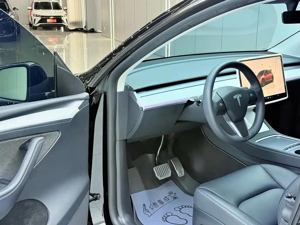 Tesla Model Y — миниатюра 4