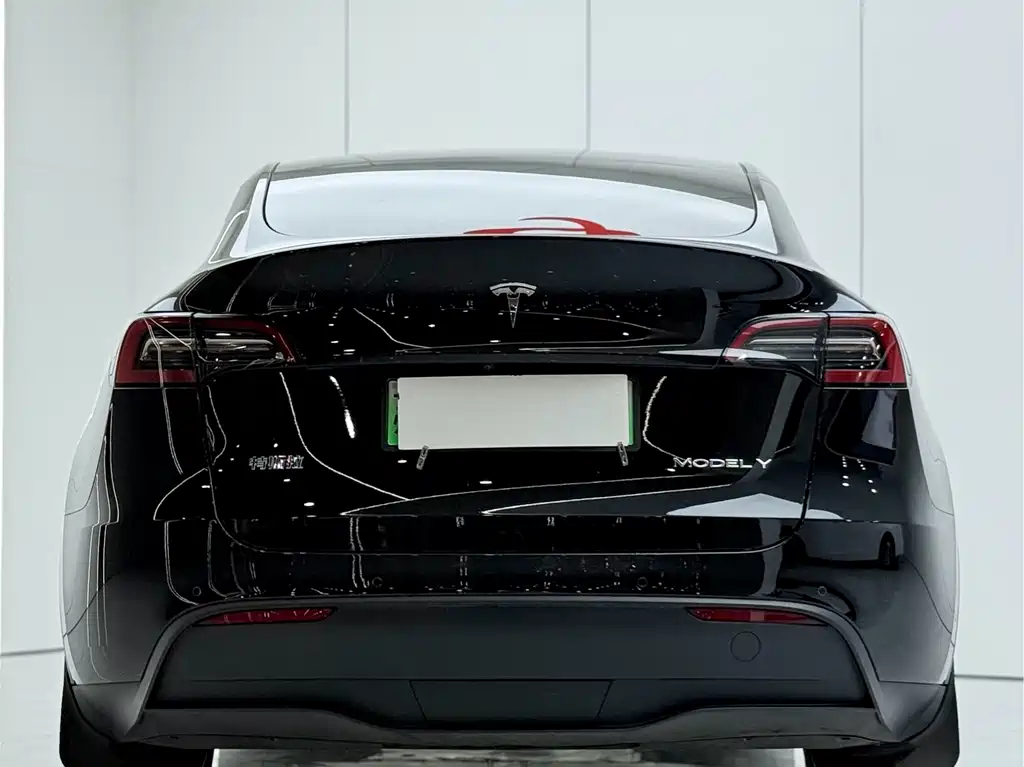 Tesla Model Y — миниатюра 15