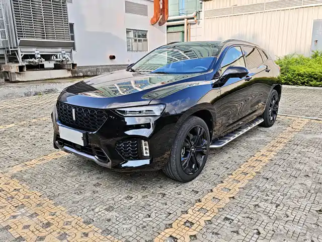 WEI PAI WEI BRAND VV7 2019