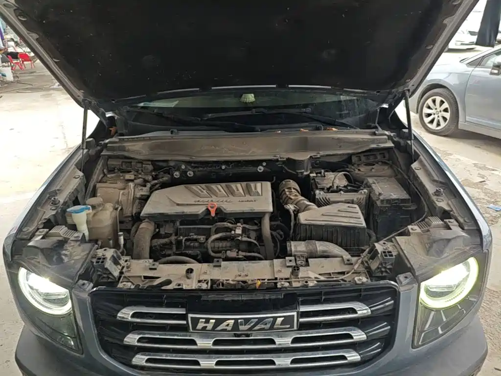Haval Big Dog — миниатюра 20