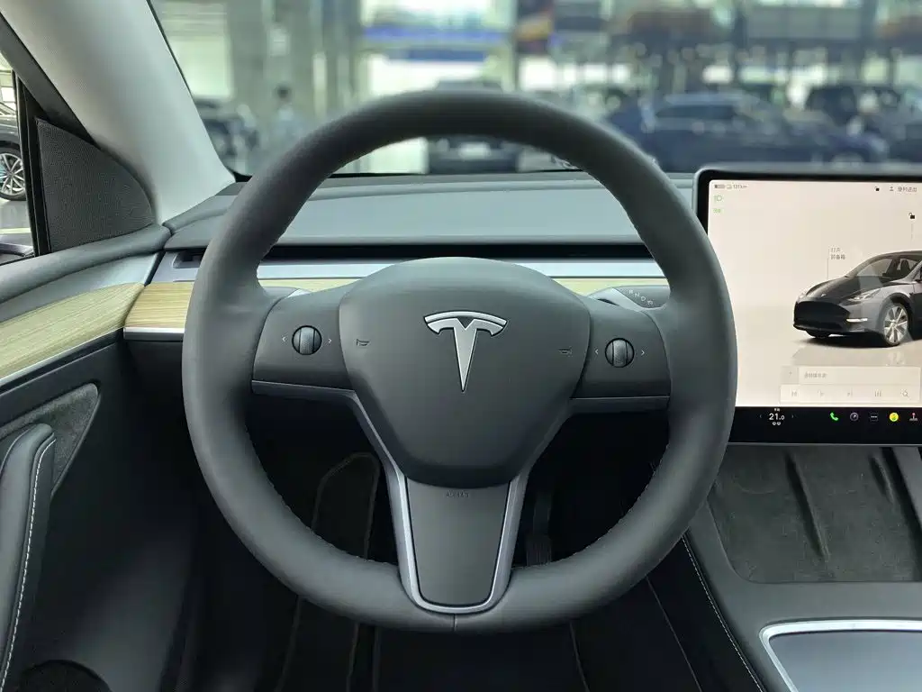 Tesla Model Y — миниатюра 14