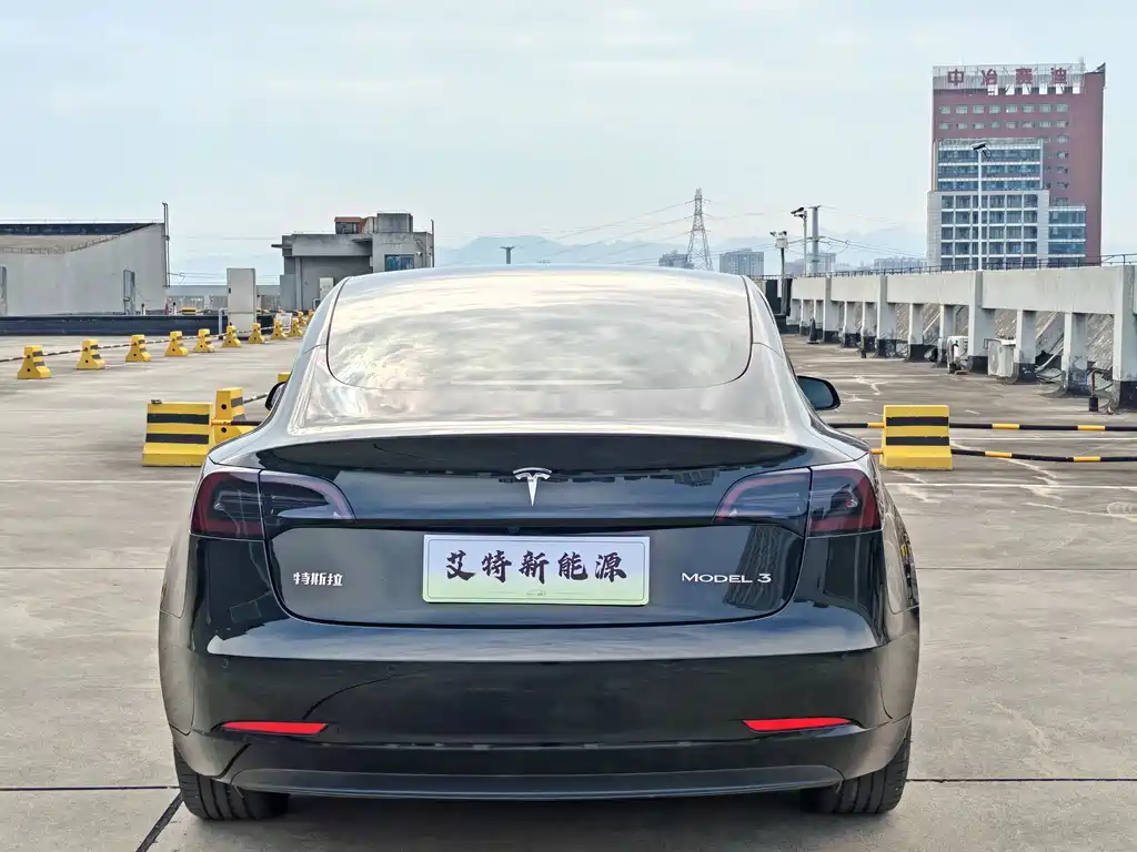 Tesla Model 3 — миниатюра 7
