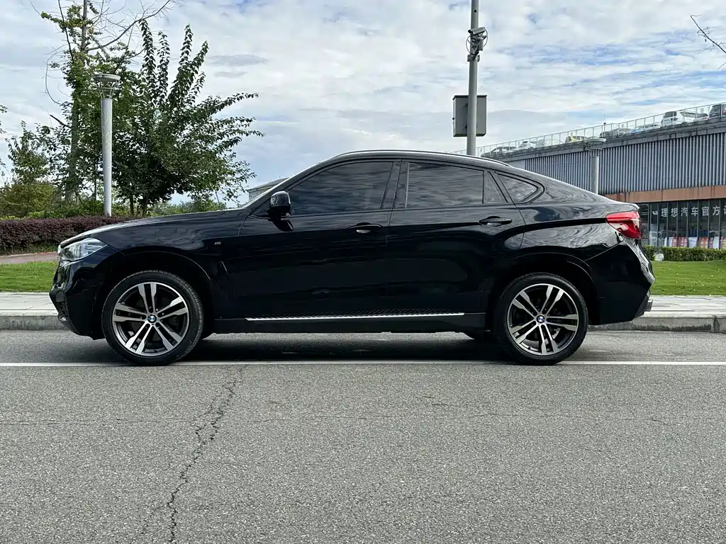 BMW X6 — миниатюра 3