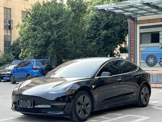 TESLA MODEL 3 2020