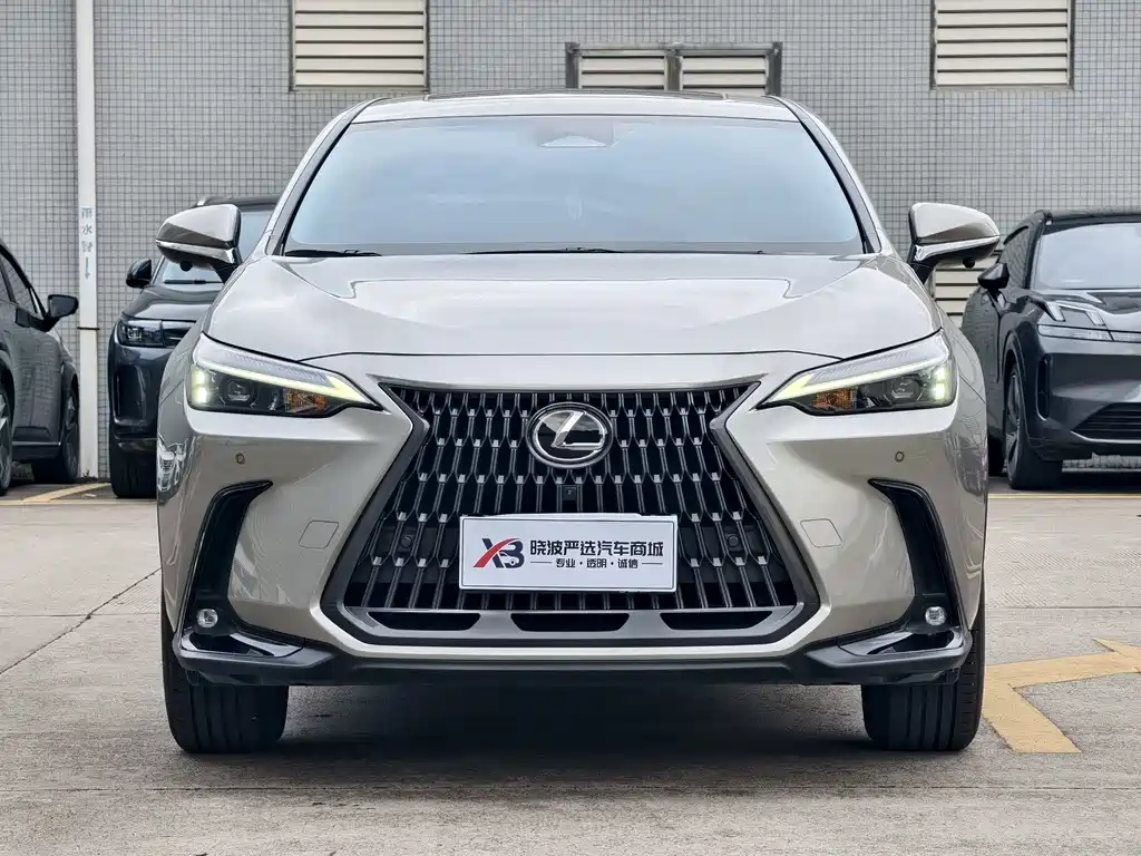Lexus NX — миниатюра 2