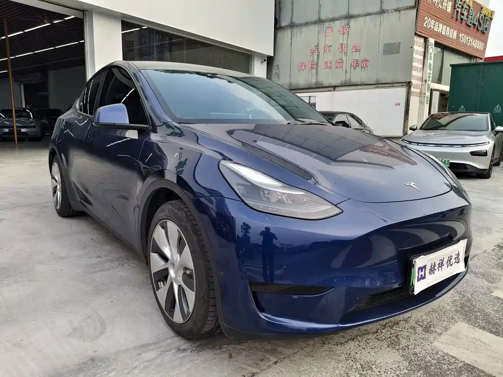 Tesla Model Y — миниатюра 3