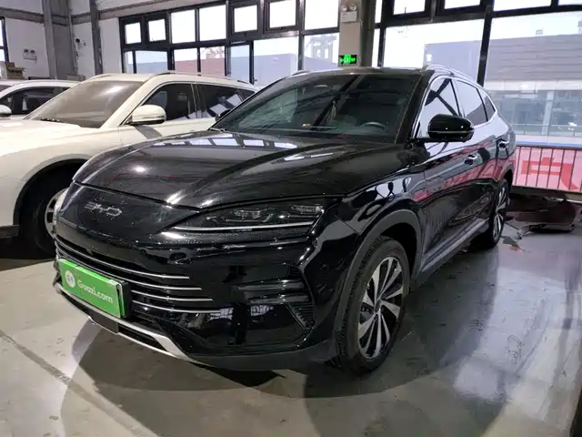 BYD SONGJIANG NEW ENERGY 2024