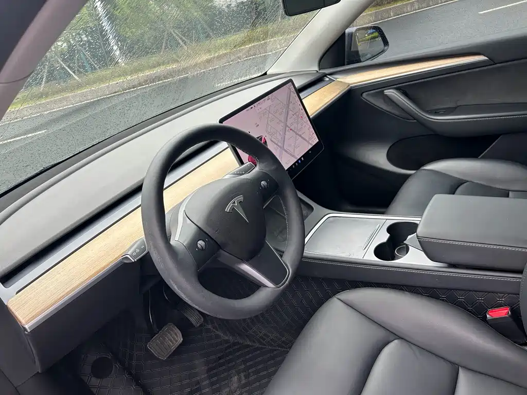 Tesla Model Y — миниатюра 5
