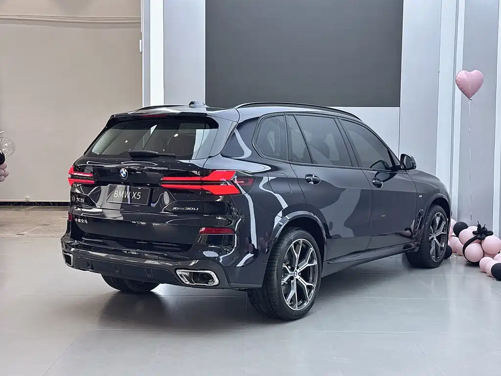 BMW X5 — миниатюра 18