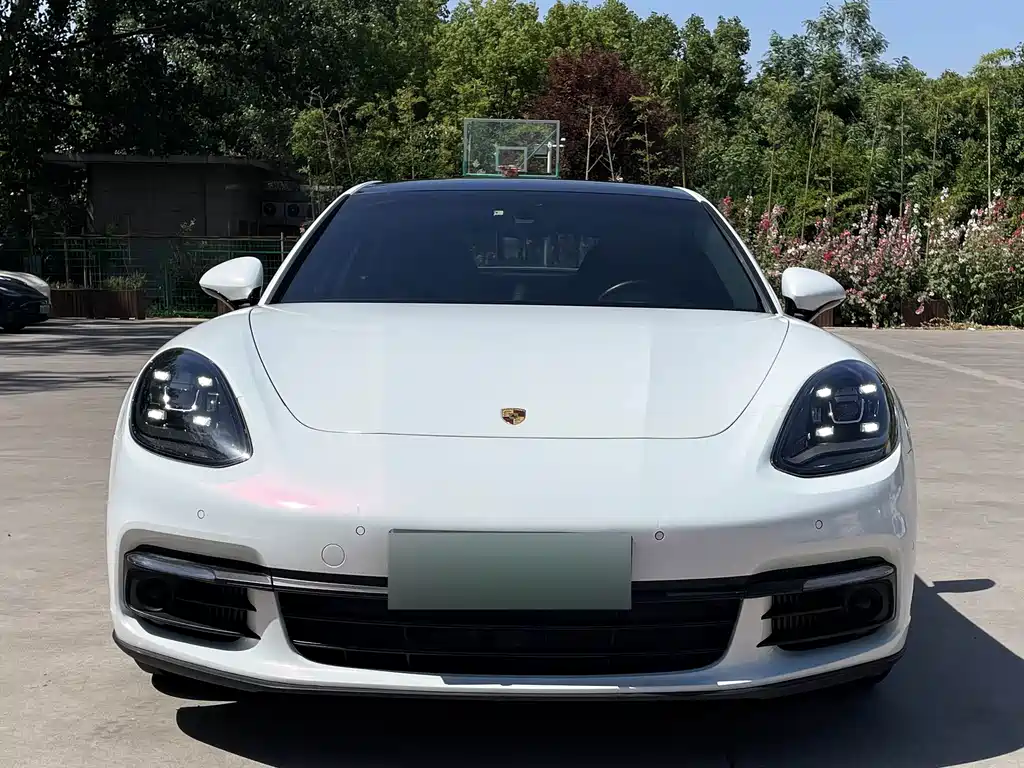 Porsche Panamera Hybrid Panamera 4 E-Hybrid 2.9T, фото 2
