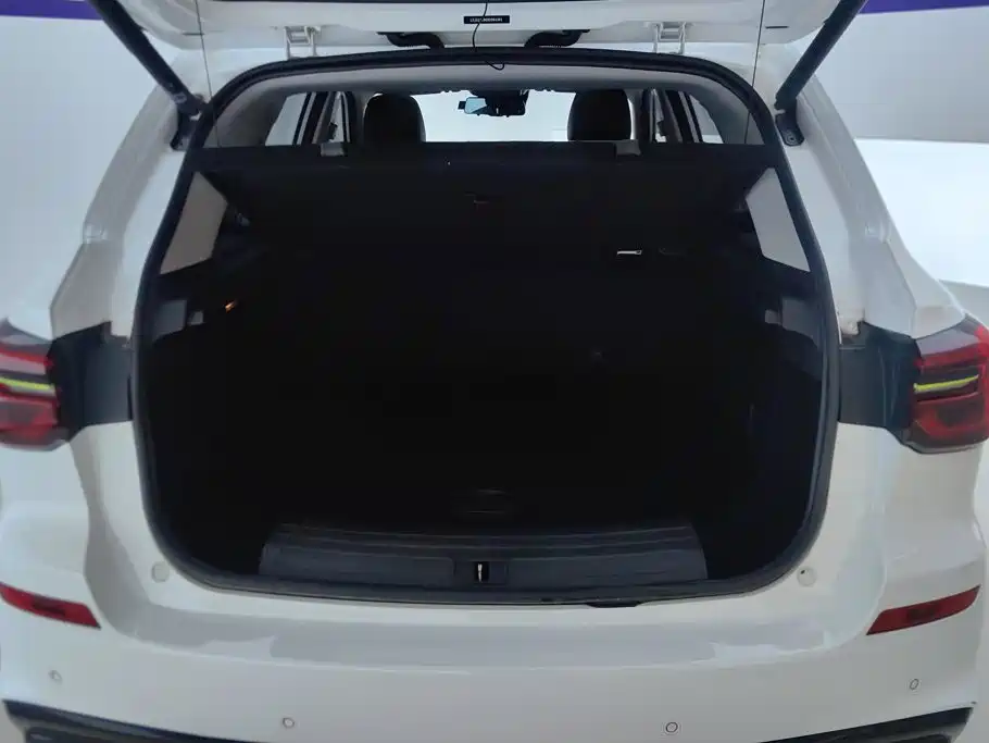 Roewe RX5 New Energy ePLUS National Trend Glory Unicorn Flagship Edition, фото 4