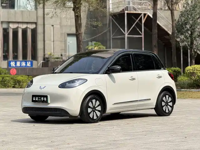 WULING WULING BINGGUO 2023