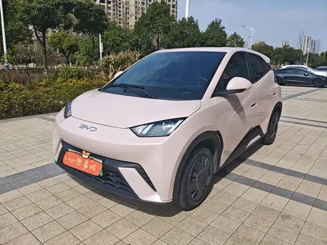 BYD SEAGULL 2024