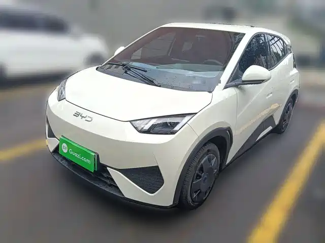 2025 BYD Seagull