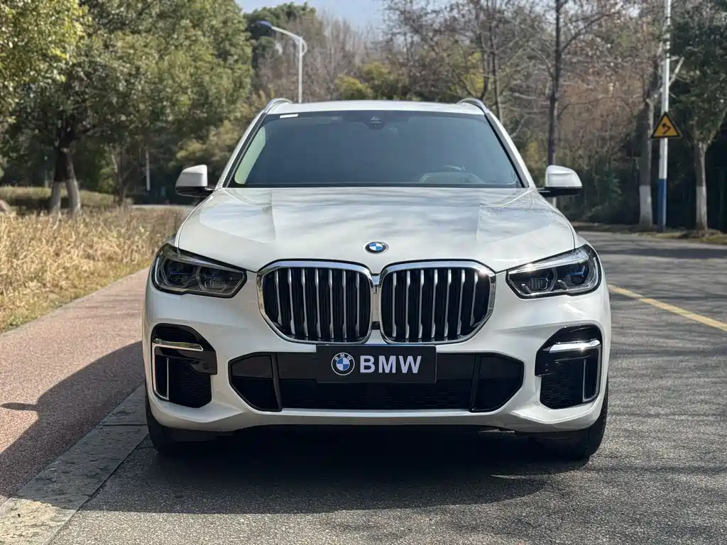 BMW X5 2022 xDrive 30Li Premium M Sport
