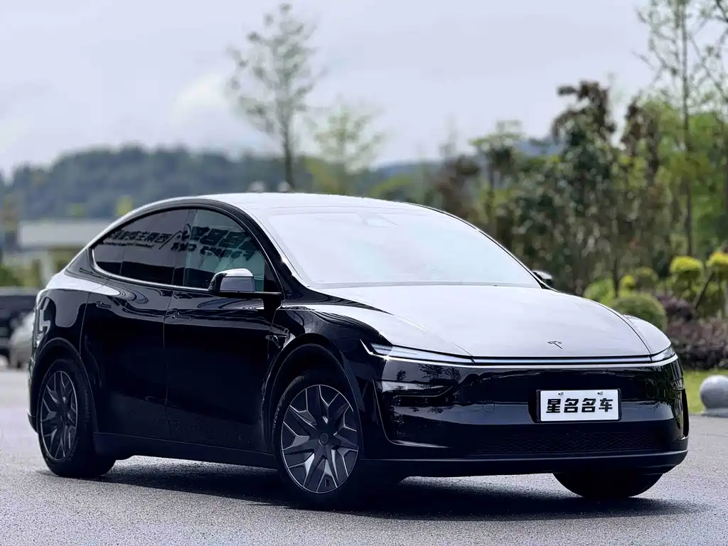 Tesla Model Y L