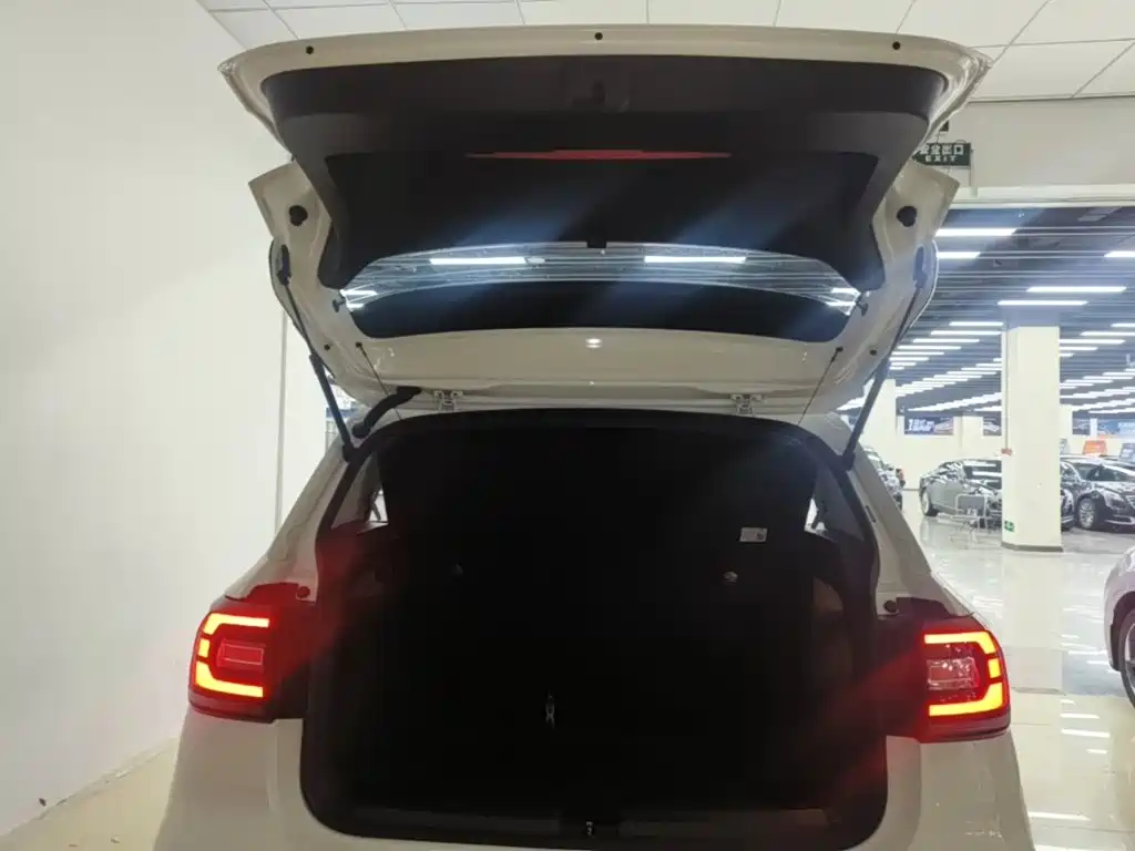 Volkswagen Tacqua — миниатюра 19