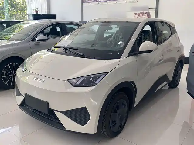 2026 BYD Seagull