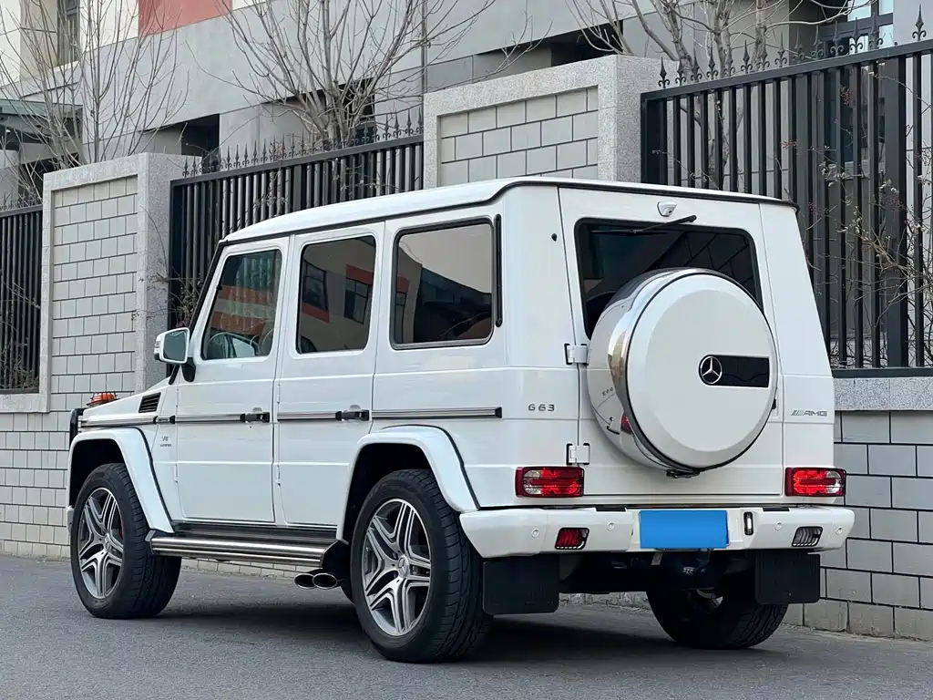 Mercedes-Benz G-Class A MG G AMG 2013 AMG G 63