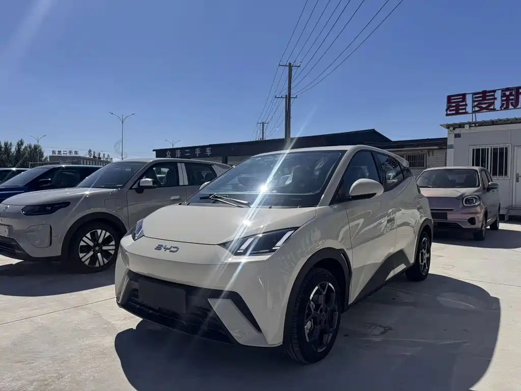 BYD Seagull