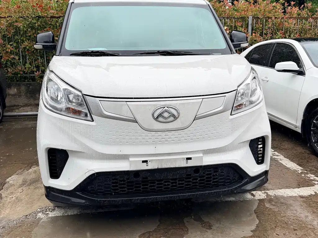 大通 EV30 2023