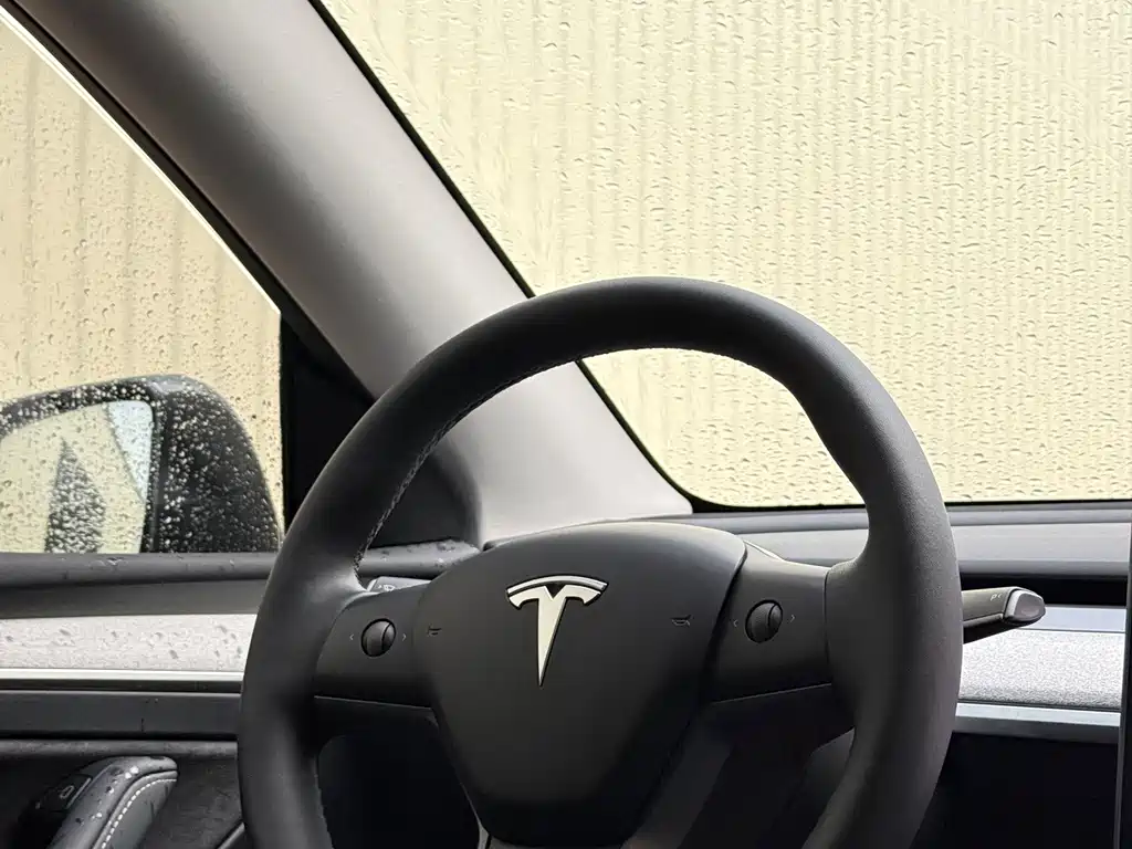Tesla Model Y — миниатюра 25