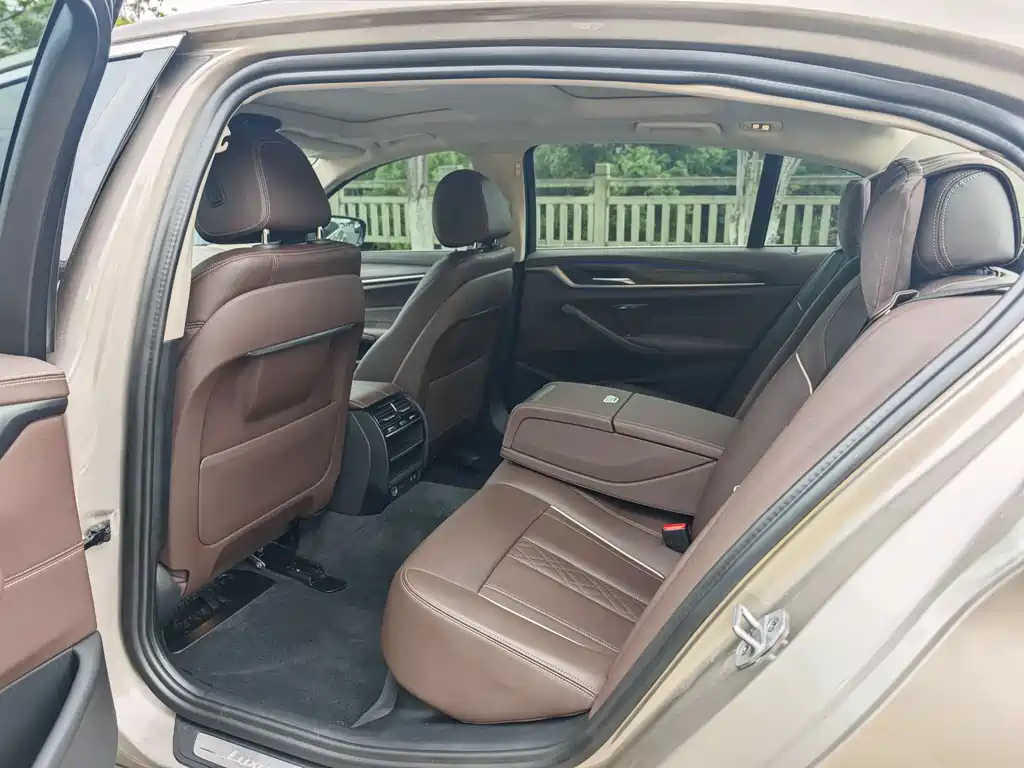 BMW 5 Series 5 2021 530Li Lead Luxury