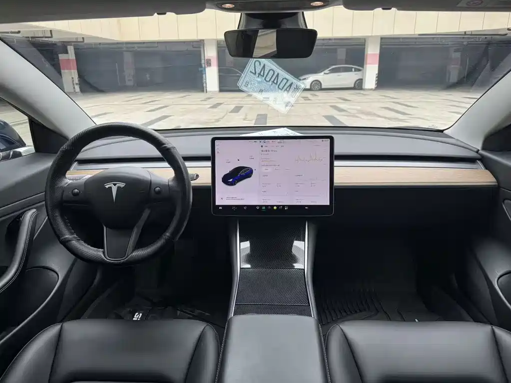 Tesla Model 3 — миниатюра 14
