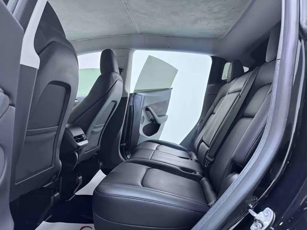 Tesla Model Y — миниатюра 11