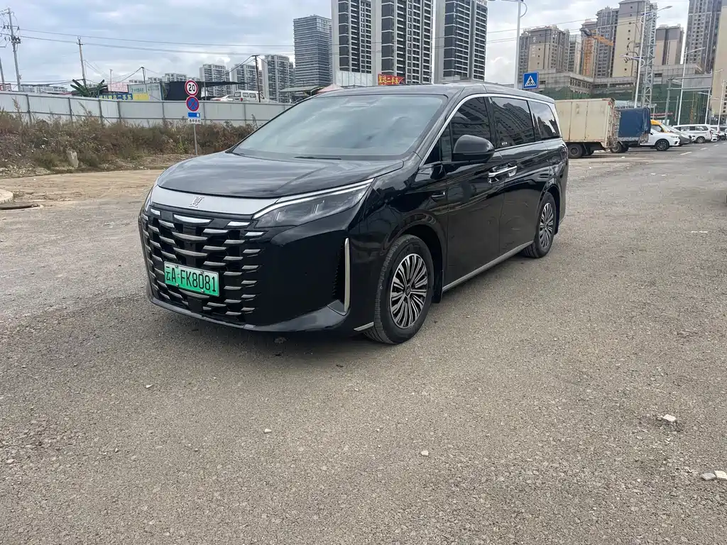 BYD Xia