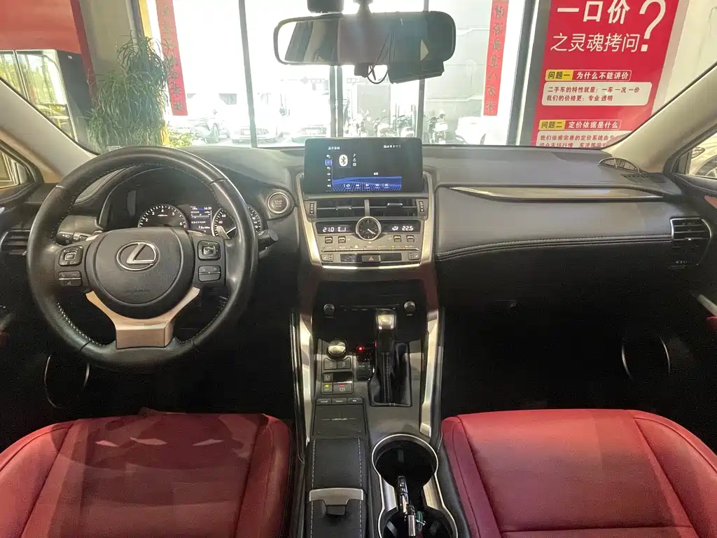LEXUS NX