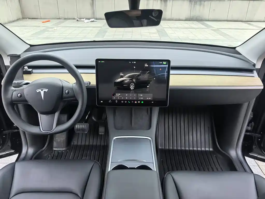 Tesla Model Y — миниатюра 10