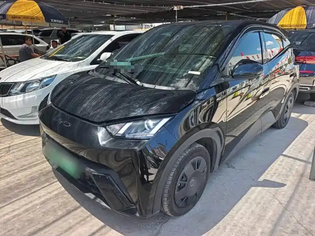 2024 BYD Seagull