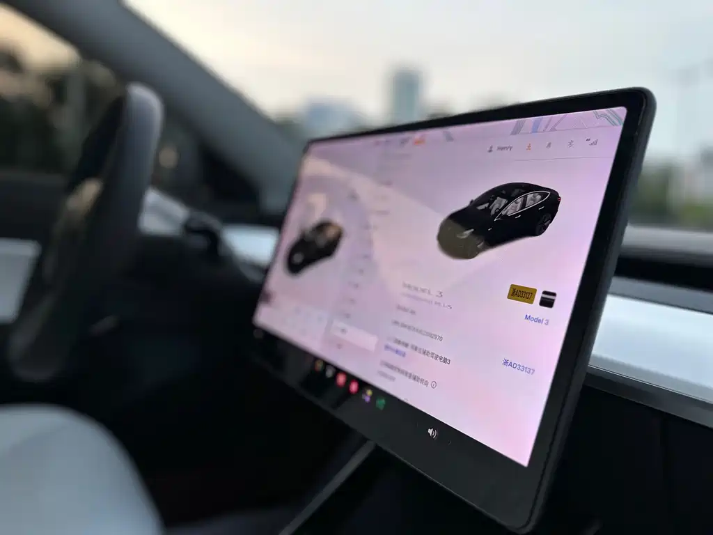 Tesla Model 3 — миниатюра 23
