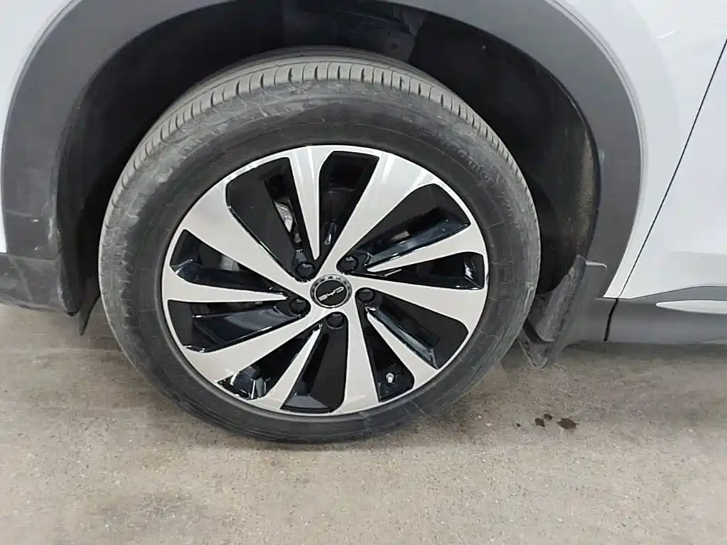 BYD PLUS New Energy — миниатюра 23