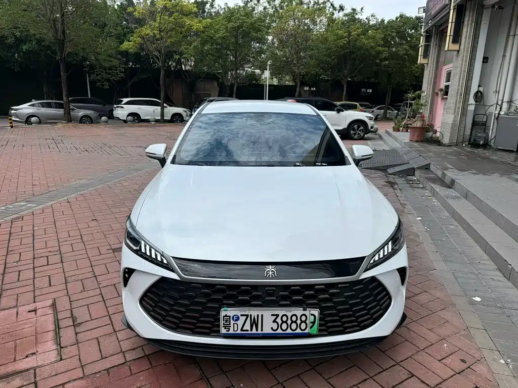 BYD Qin Plus PLUS 2025 DM-i Smart Drive 55KM Lead