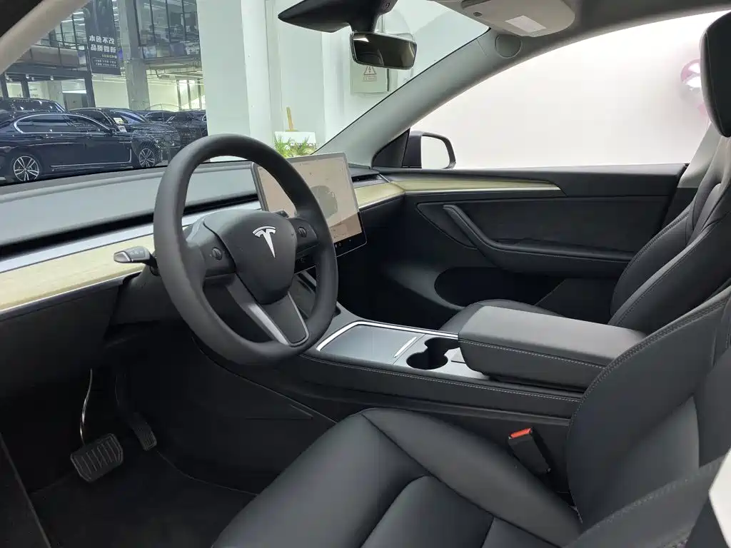 Tesla Model Y — миниатюра 17