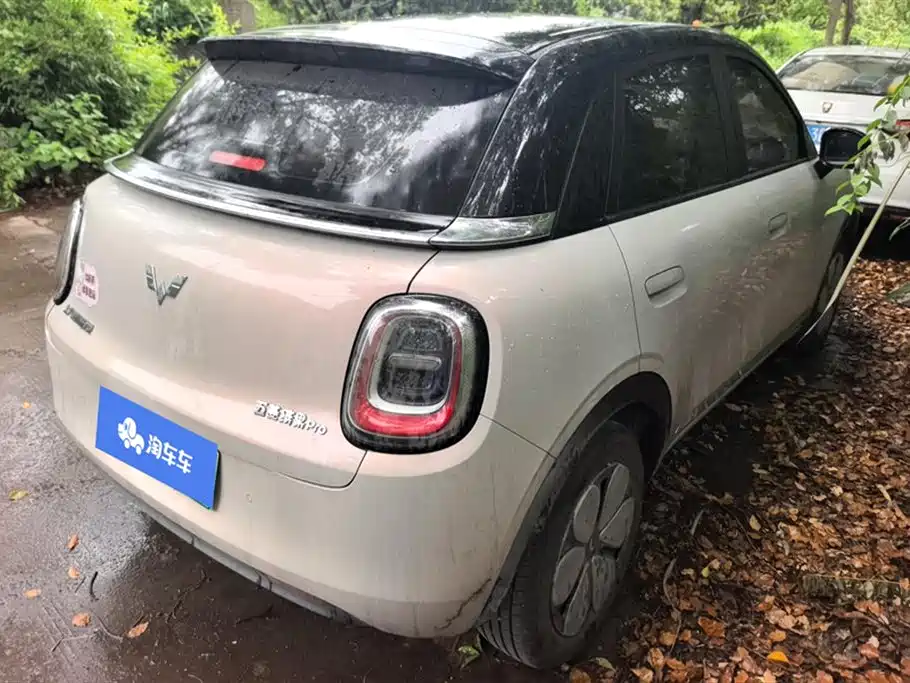 Wuling BinguoPro Pro 2026 330km Premium