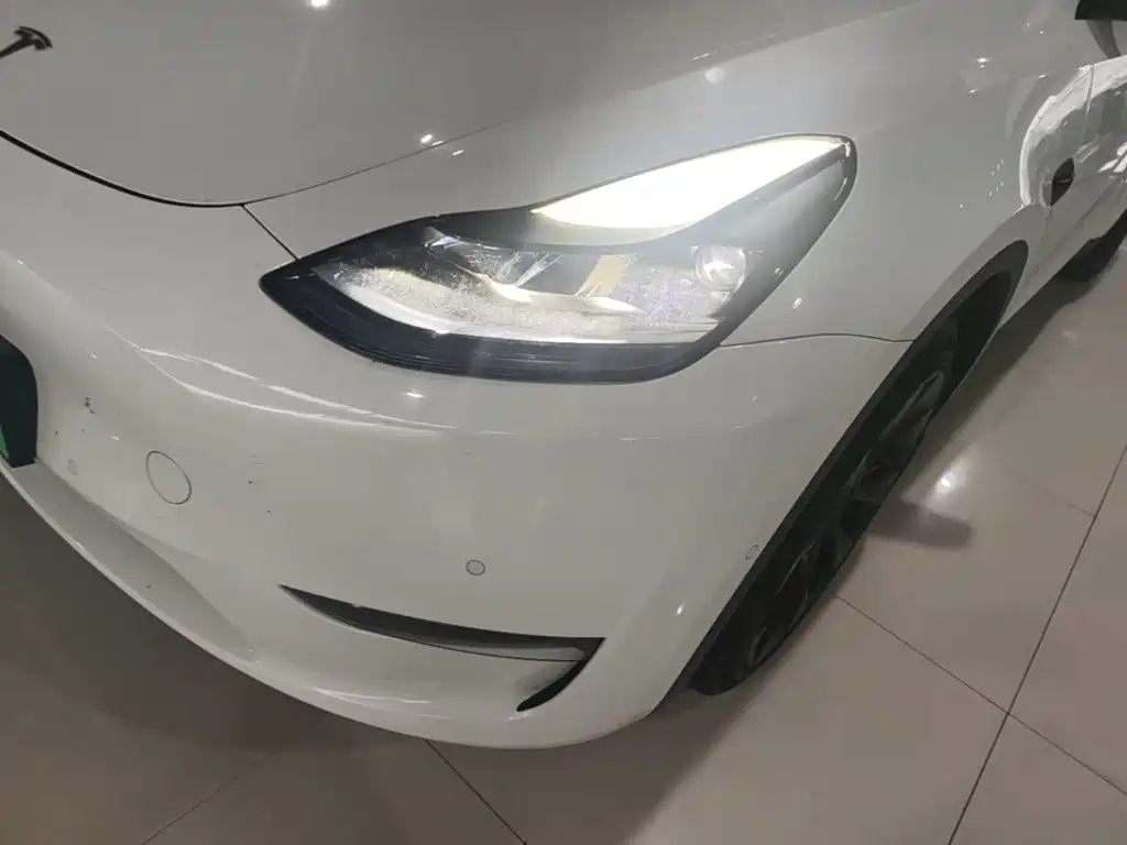 Tesla Model Y — миниатюра 24