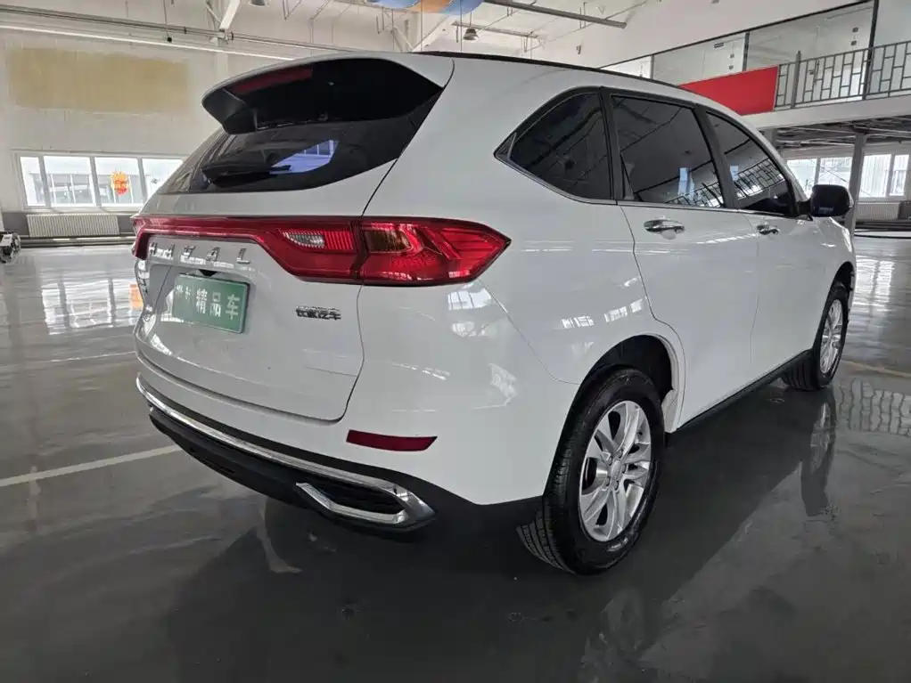 Haval M6 — миниатюра 11