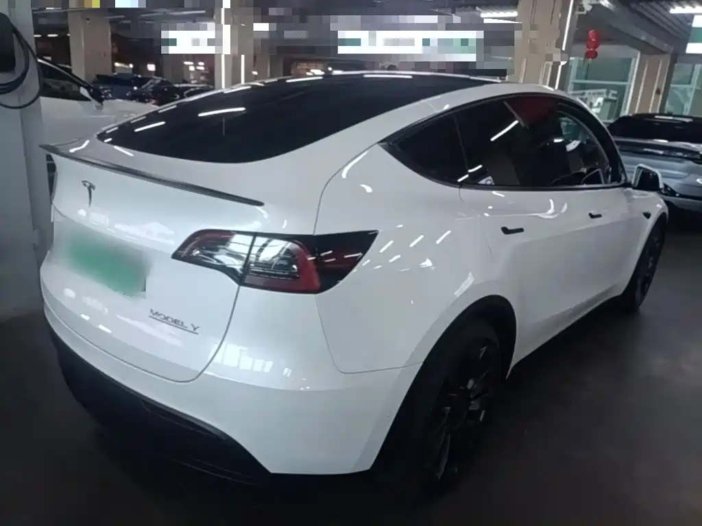Tesla Model Y — миниатюра 7