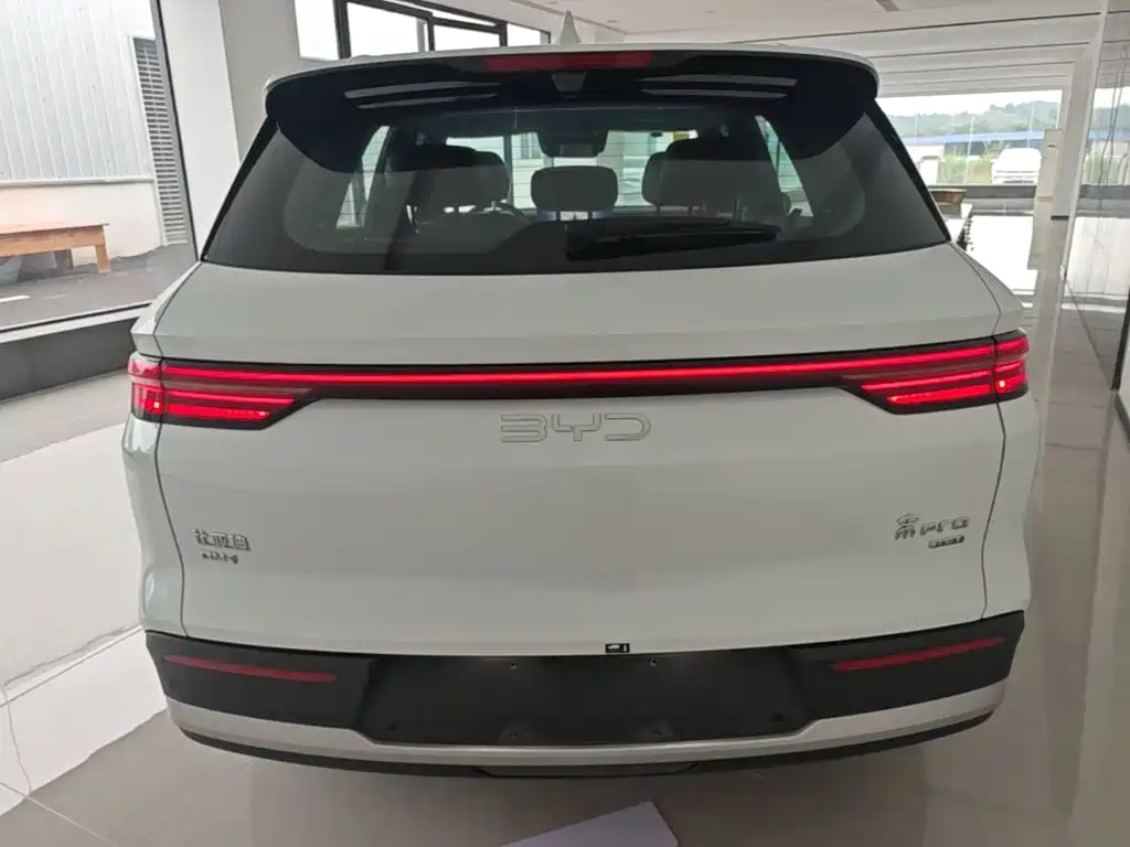 BYD Pro New Energy — миниатюра 6