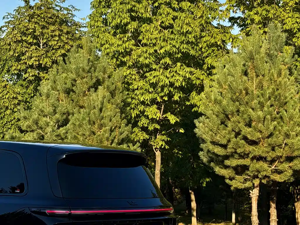 Li Auto Li L9 — миниатюра 18