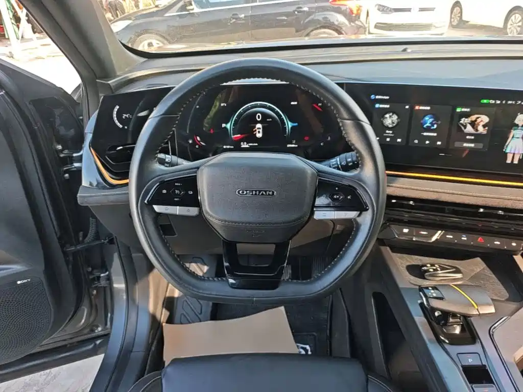 Oshan Oushang X5 PLUS — миниатюра 11