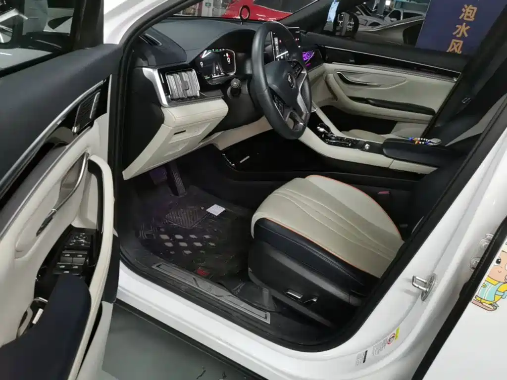 BYD PLUS New Energy — миниатюра 15