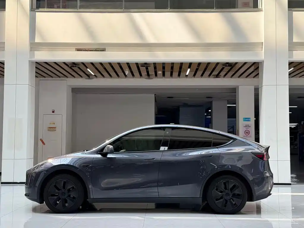 Tesla Model Y — миниатюра 8