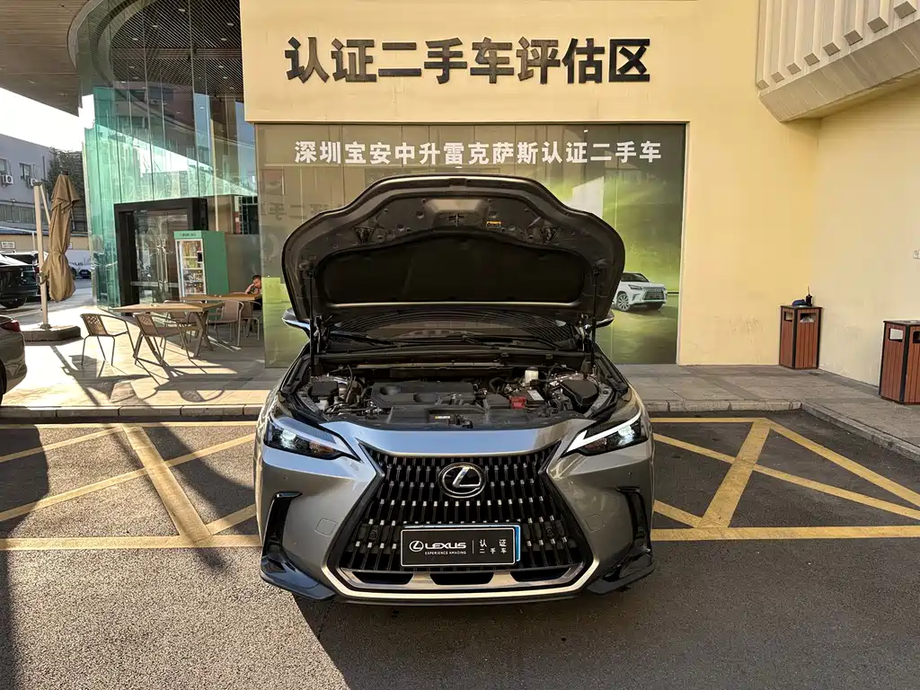 LEXUS NX